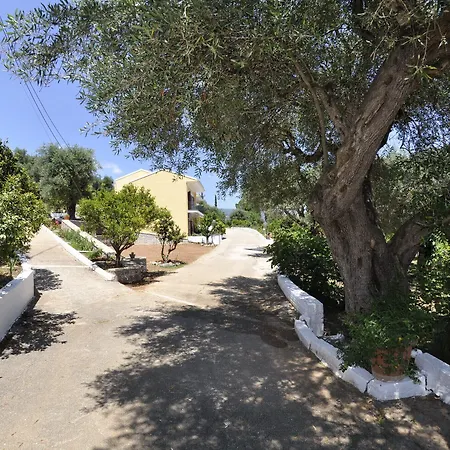 Braziliana Corfu Δασιά