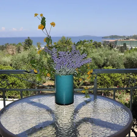 公寓 Braziliana Corfu